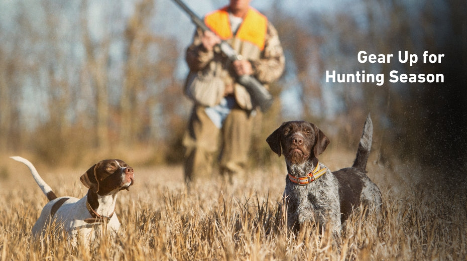 Gear Up for Hunting Season with NESTOUT