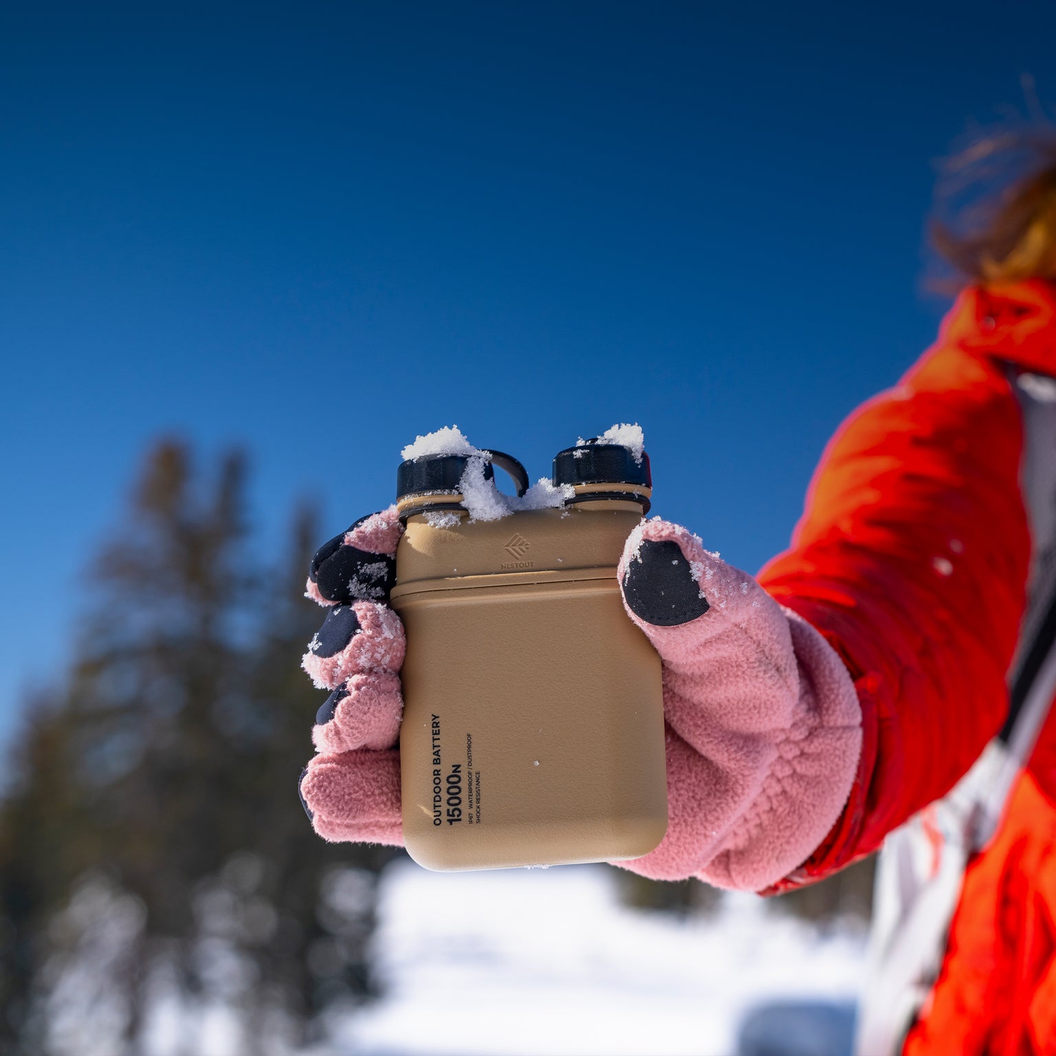Image Of NESTOUT Battery In Snow