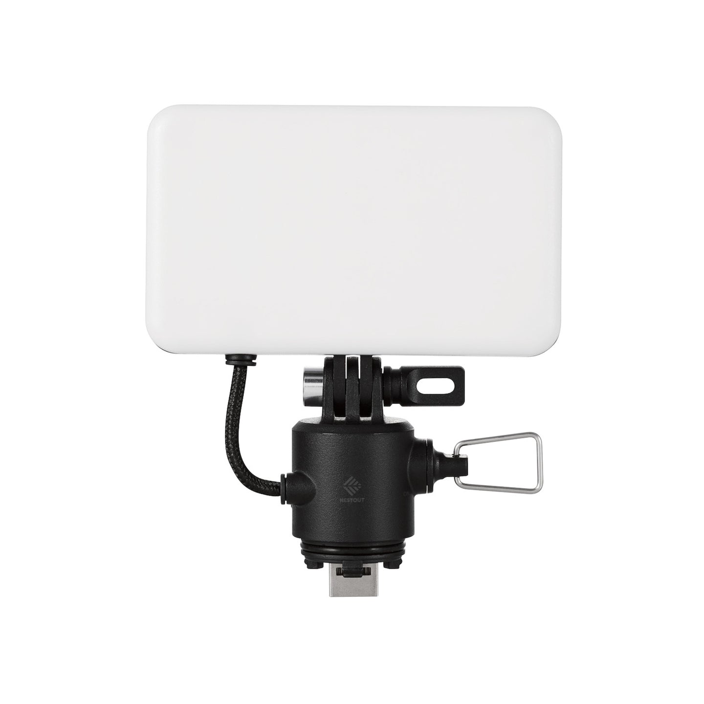 hero image of the nestout black flash