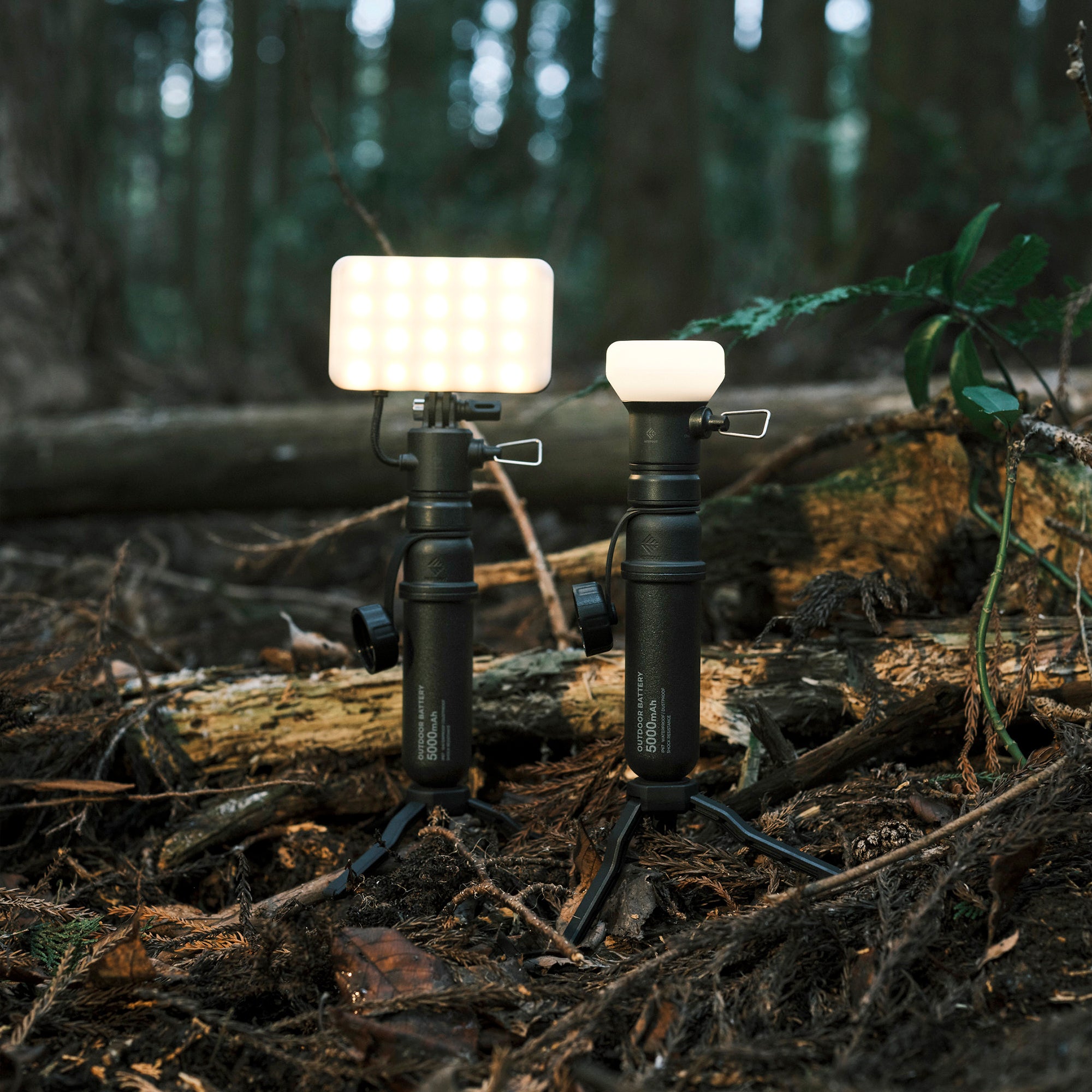 image of the nestout black flash attached to the black 5k nestout battery standing on tripod next to the nestout black lamp connected to black 5k battery standing on tripod in the woods