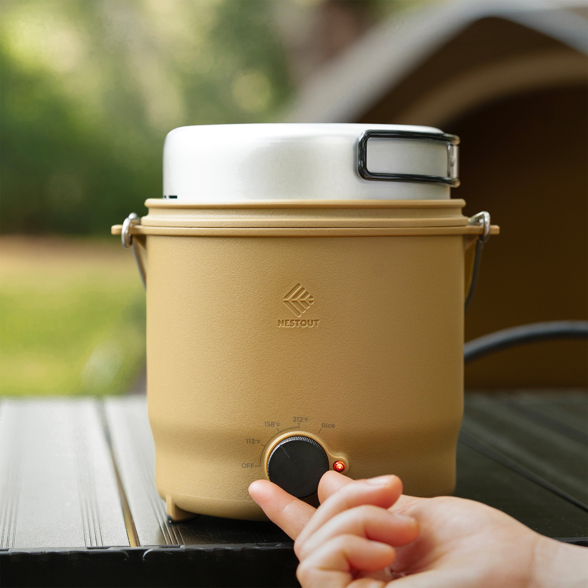 Portable Electric Cooker 500W – NESTOUT