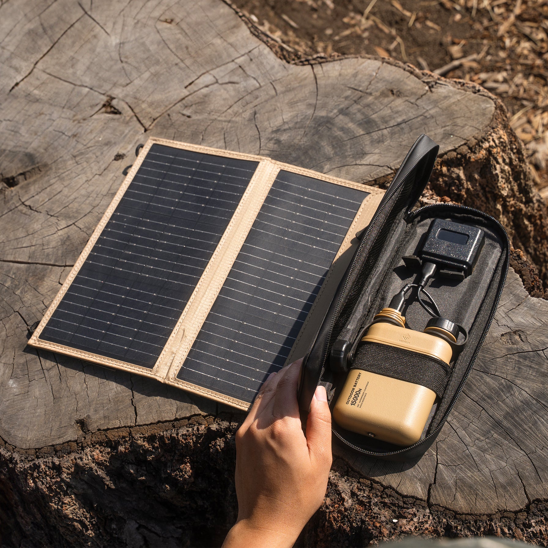 Solar panel and portable power bank on a tree stump