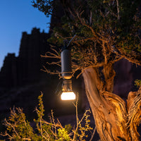 NESTOUT 10000mAh battery back connected to the lamp accessory hanging upside down from tree branch 
