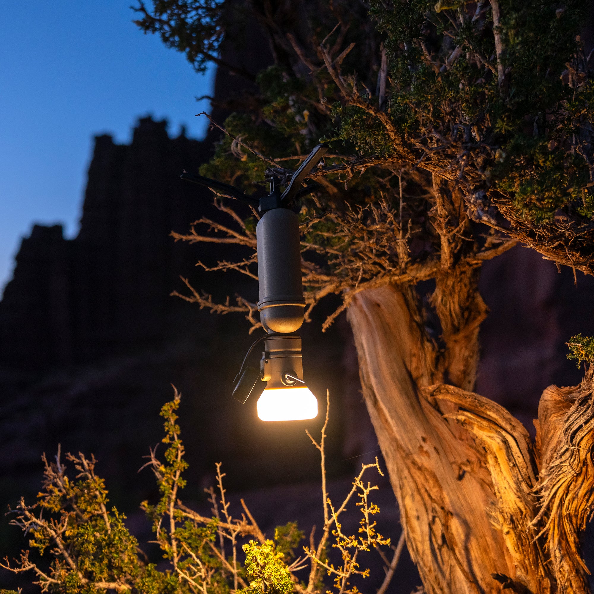 NESTOUT 10000mAh battery back connected to the lamp accessory hanging upside down from tree branch 